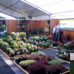 GrootGroenPlus 2015